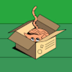 Meet your Posher, Kimberley